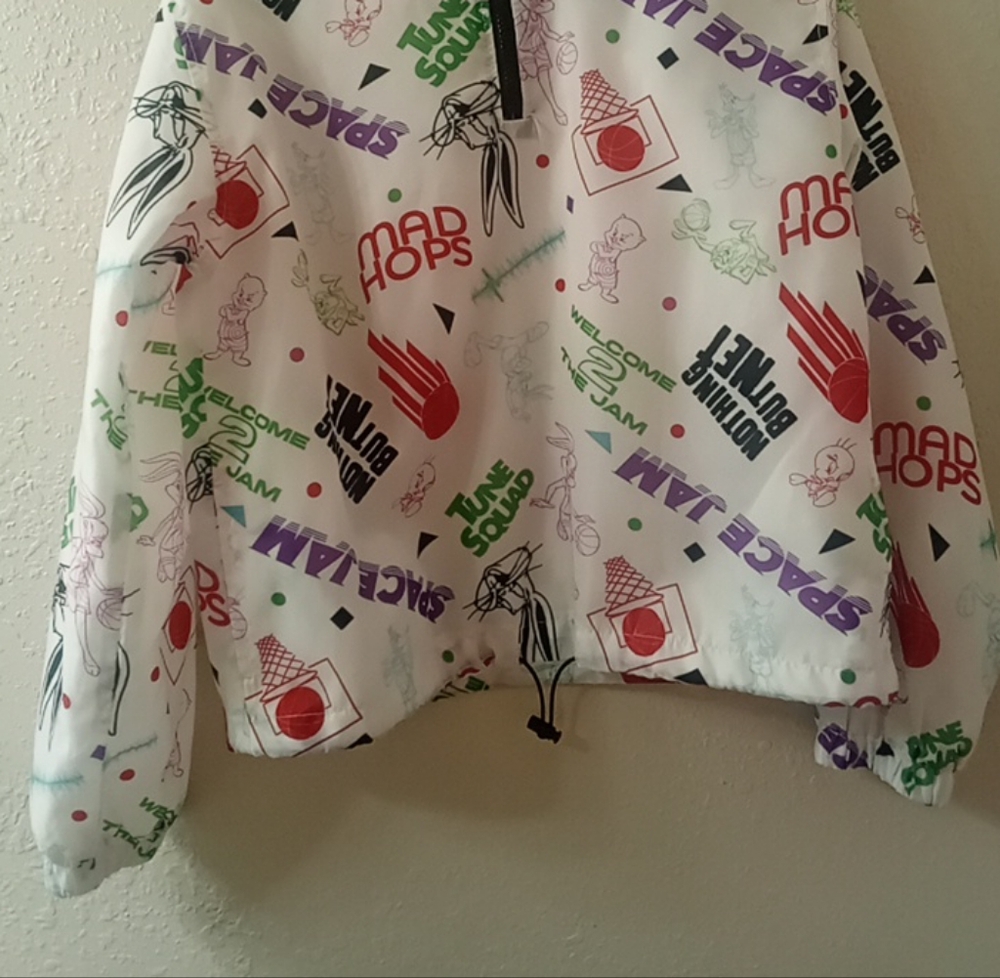 Windbreaker - Picture 2 of 11
